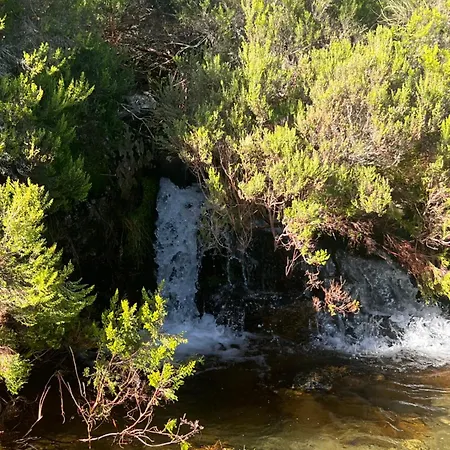 Adilia Padornelo (Castile and Leon)