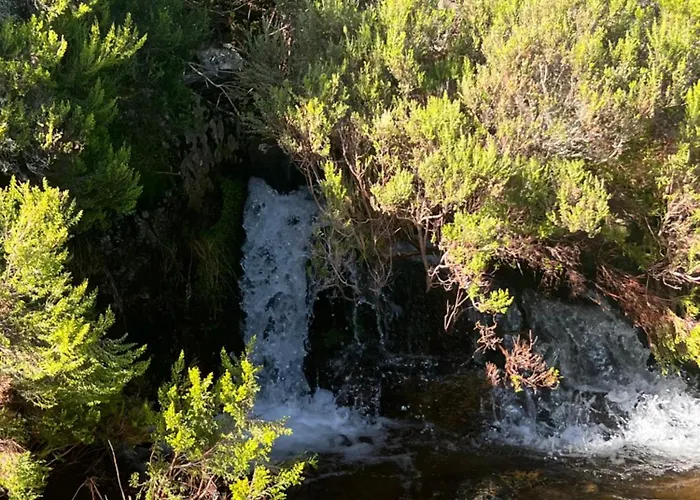 Adilia Padornelo (Castile and Leon)